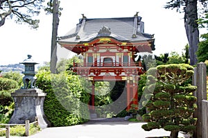 Japanese tea garden