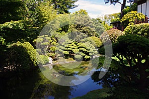 Japanese tea garden img