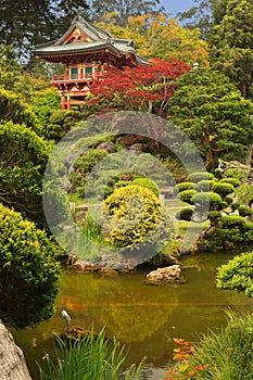 Japanese Tea Garden