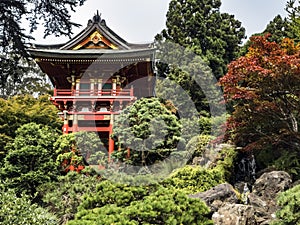 Japanese Tea Garden, Golden Gate Park, San Francisco