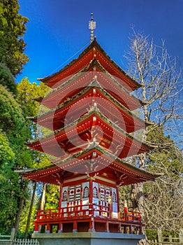 Japanese Tea Garden in the Golden Gate Park, San Francisco