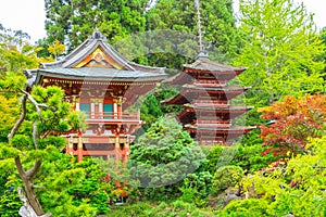 Japanese Tea Garden in Golden Gate Park, San Francisco