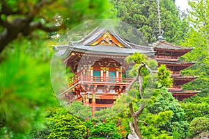 Japanese Tea Garden in Golden Gate Park, San Francisco, California