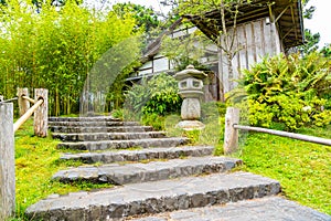 Japanese Tea Garden in the Golden Gate Park, San Francisco. California. USA