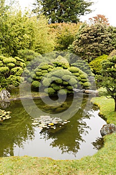 The Japanese Tea Garden in Golden Gate Park in San Francisco