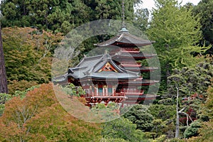 Japanese Tea Garden, San Francisco