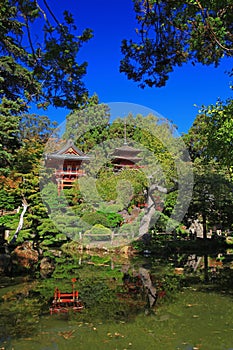 Japanese Tea Garden in San Francisco