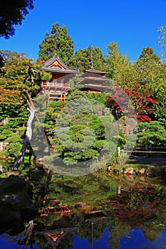 Japanese Tea Garden in San Francisco