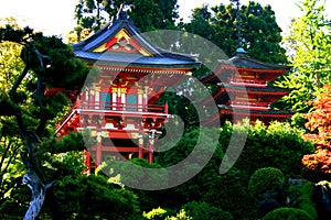 Japanese Tea Garden, img