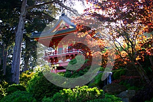 Japanese Tea Garden, img