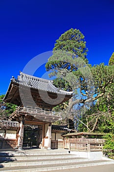 Japanese Tea Garden in San Francisco