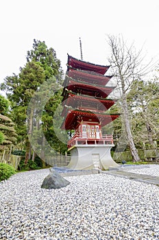 Japanese Tea Garden, San Francisco