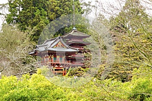 Japanese Tea Garden, San Francisco