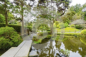 Japanese Tea Garden, San Francisco