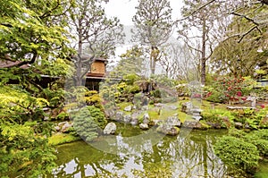 Japanese Tea Garden, San Francisco