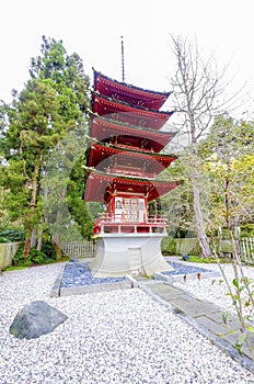 Japanese Tea Garden, San Francisco