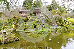 Japanese Tea Garden, San Francisco