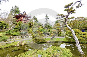 Japanese Tea Garden, San Francisco