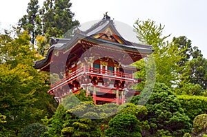 Japanese Tea Garden in San Francisco