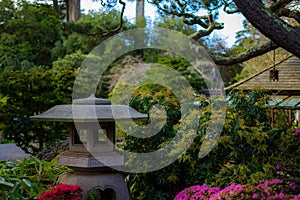 Japanese Tea Garden View in the morning