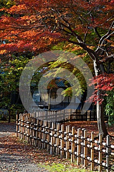 Japanese tea house