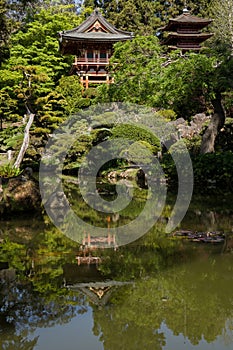 Japanese Tea House with Bonsai Gardens