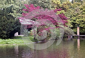 Japanese tea house in the english garden in munich, germanyjapanese tea house in the english garden in munich, germany