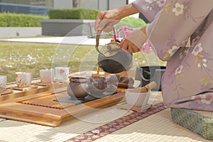 Japanese tea under sakura tree