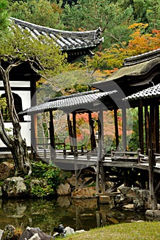 Japanese temple autumn landscape