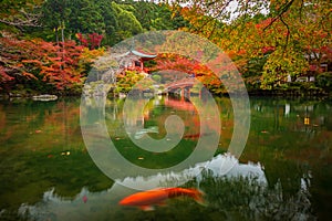 Japanese temple with colorful maple trees