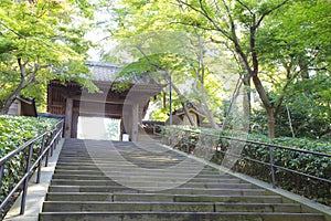 Japanese Temple , Engaku ji Temple