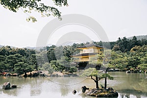 Japanese temple with japanese maple tree leaves in Kyoto vintage film style