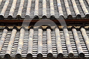 Japanese Temple Roof Detail