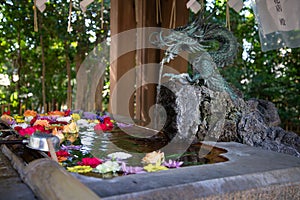 Japanese temple water fountain with a bronze dragon sculpture.