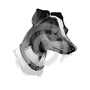 Japanese Terrier, Nippon Terrier, Nihon Teria, Nihon Terrier dog digital art illustration isolated on white background. Japan photo