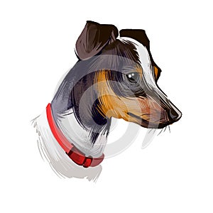 Japanese Terrier, Nippon Terrier, Nihon Teria, Nihon Terrier dog digital art illustration isolated on white background. Japan photo