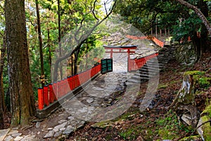 Japanese Torii and Fence photo