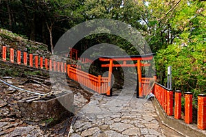 Japanese Torii and Fence photo