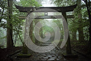 Japanese torii Shinto shrine gate in the forest, Nikko, Japan photo
