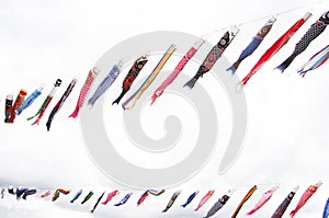 Japanese traditional colorful carp-shaped streamers