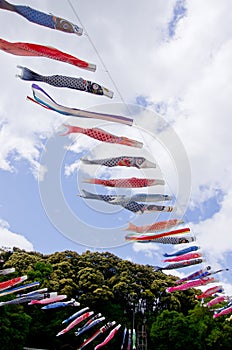 Japanese traditional colorful carp-shaped streamers