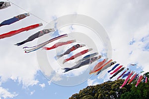 Japanese traditional colorful carp-shaped streamers