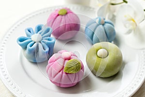 Japanese traditional confectionery cake wagashi