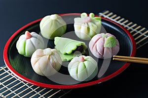 Japanese traditional confectionery wagashi