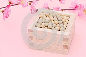 Japanese traditional event, soybeans