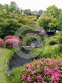 Japanese Traditional Garden