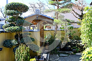 Japanese traditional garden gate in old Japanese house, Japanese stones garden with Japanese lantern, pine tree in front and bambo