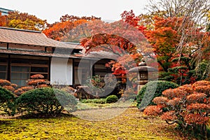 Japanese traditional house with autumn maple trees at Koishikawa Korakuen Garden in Tokyo, Japan