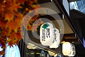 Japanese traditional lamp