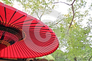 Japanese traditional red parasol umbrella Japan